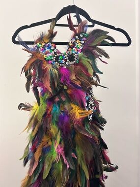 Custom made Charismatico Dancewear Multicolor Feathered Sequin Dance Costume